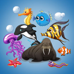 Sea Creature Coloring Book